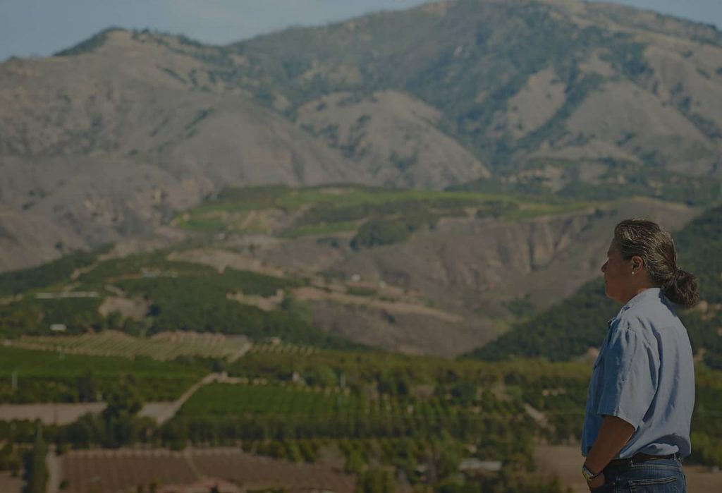 Sunkist_website_Growers_images_2growerscredo_1280x8741 Sunkist hken